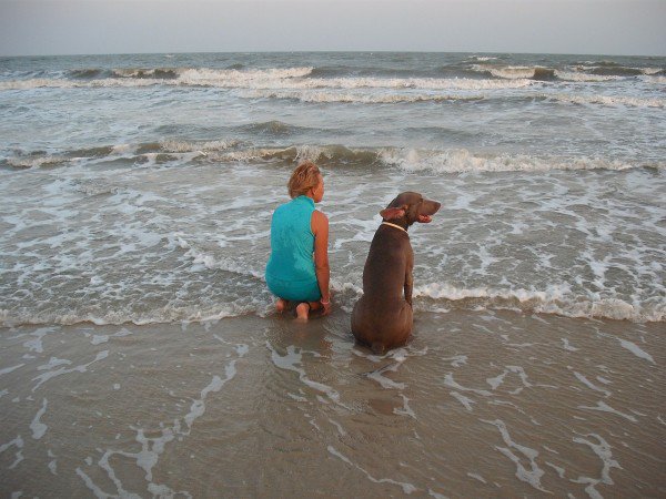 Animalear - playa para perros