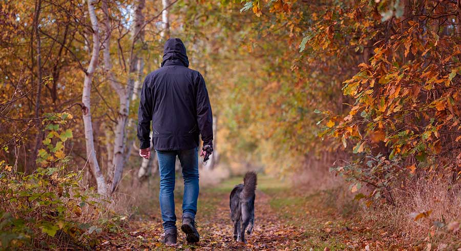 Los beneficios de pasear con tu mascota