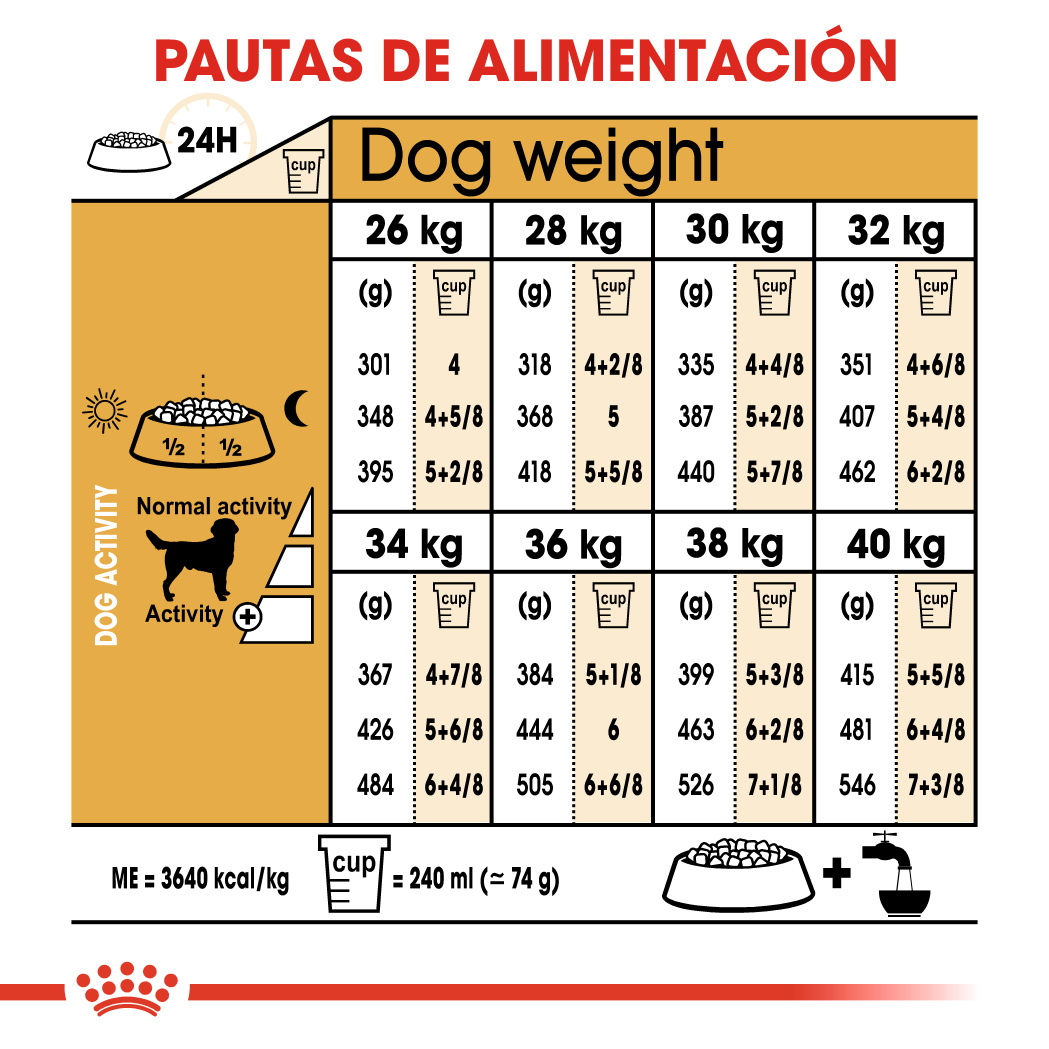 Labrador Retriever Adult puppy-weight-chart