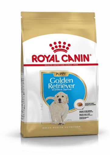 Golden Retriever Puppy Pienso para Cachorro de Raza Golden Retriever Puppy Pienso para Cachorro de Raza
