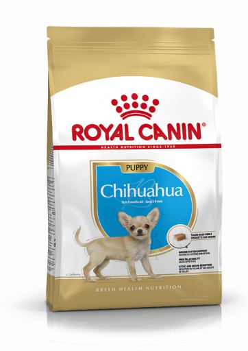 Chihuahua Puppy Pienso para Cachorro de Raza Chihuahua Puppy Pienso para Cachorro de Raza