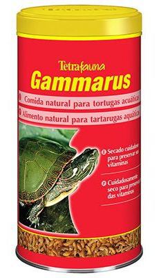 Gammarus (Gambitas) Gammarus (Gambitas)