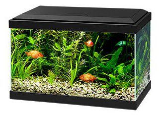 Acuario Aqua Light 20 Acuario Aqua Light 20