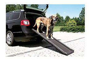 Rampa para perros Petwalk Rampa para perros Petwalk
