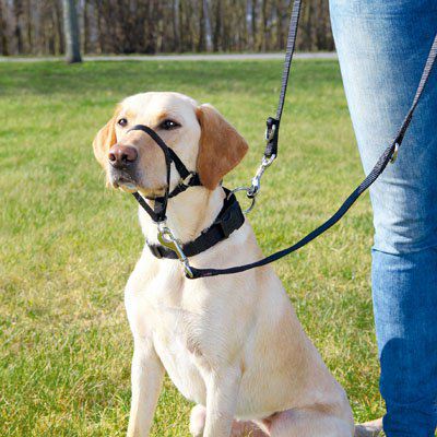 Top Trainer Bozal para perros Top Trainer Bozal para perros