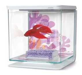 Kit para acuarios Betta Flower Kit para acuarios Betta Flower