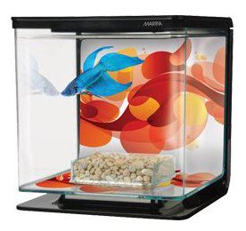 Kit para acuarios Betta Sun Swirl Kit para acuarios Betta Sun Swirl