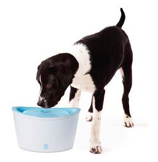 Bebedero fuente Dogit Fresh&Clear 6L Bebedero fuente Dogit Fresh&Clear 6L