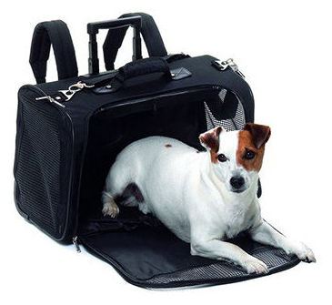 Mochila de transporte con ruedas (hasta 15Kg) Mochila de transporte con ruedas (hasta 15Kg)