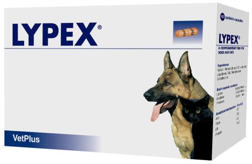 Lypex para Problemas del Páncreas en Perros y Gatos Lypex para Problemas del Páncreas en Perros y Gatos