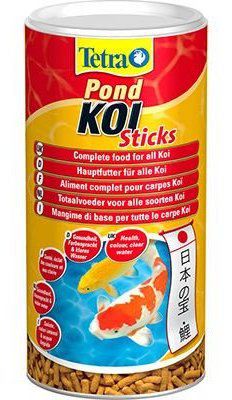 Pond Koi Pond Koi
