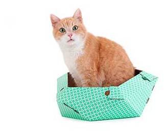 Cueva de cartón Oliver Cat In a Box Cueva de cartón Oliver Cat In a Box