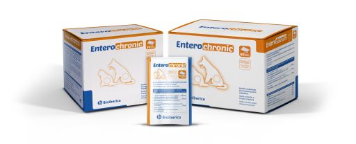 Entero-Chronic para Alteraciones Intestinales Entero-Chronic para Alteraciones Intestinales