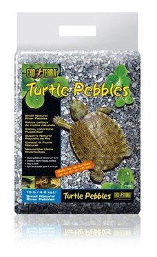 Piedra natural de río para tortugas Turtle Pebbles Piedra natural de río para tortugas Turtle Pebbles