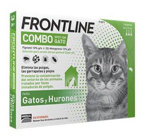 Combo gato Combo gato