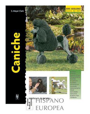 Caniche (Excellence) Caniche (Excellence)