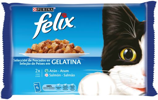 Multipack Surtido de Pescados en Gelatina de Salmón y Atún Multipack Surtido de Pescados en Gelatina de Salmón y Atún