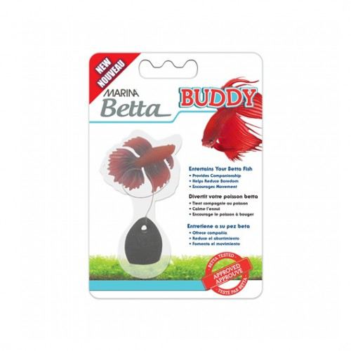 Bettas Buddy Bettas Buddy