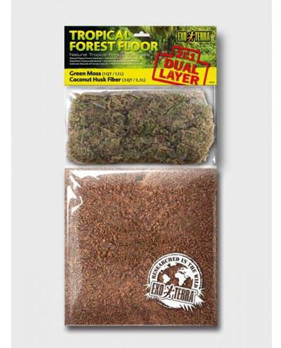 Tropical Forest Floor Tropical Forest Floor