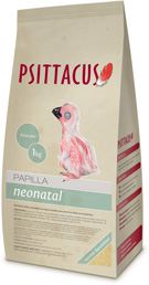 Papilla Neonatal Papilla Neonatal