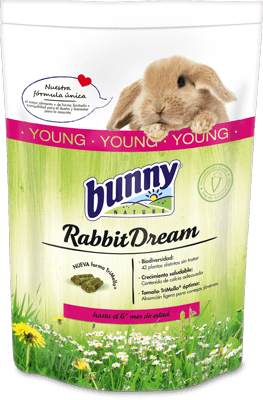 Dream Conejo Joven Dream Conejo Joven