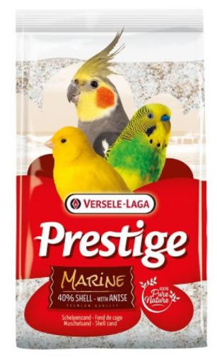 Fondo Jaula Marine Premium Pajaro Fondo Jaula Marine Premium Pajaro