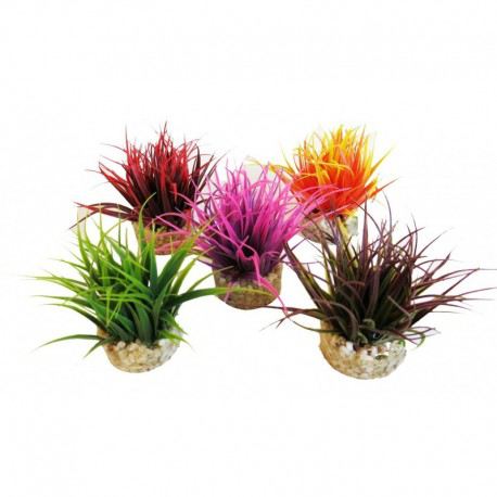 Aqua Nano Moss Aqua Nano Moss