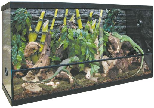 Terrario Reptiles Terrario Reptiles