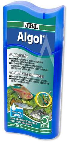Algol Algol