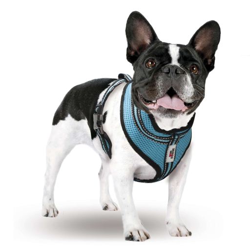 TK-Pet Easy Click Arnés Azul para perros