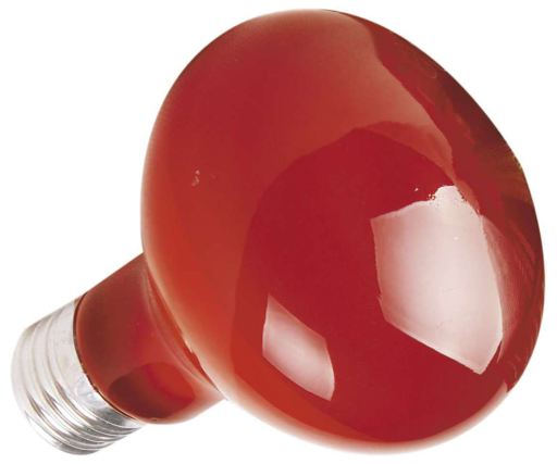 Bombilla Infraroja 100W Bombilla Infraroja 100W