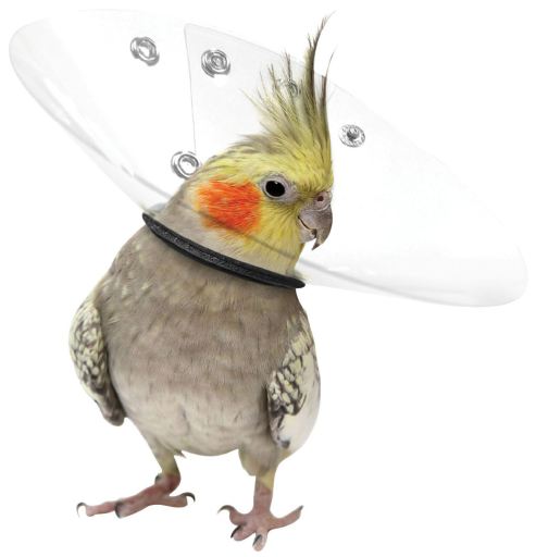 Saftshield Pajaros Saftshield Pajaros
