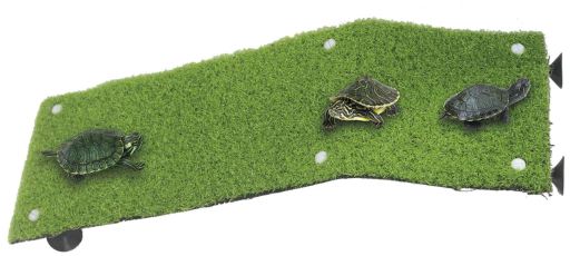 Gran Rampa con Cesped Tortugueras Gran Rampa con Cesped Tortugueras
