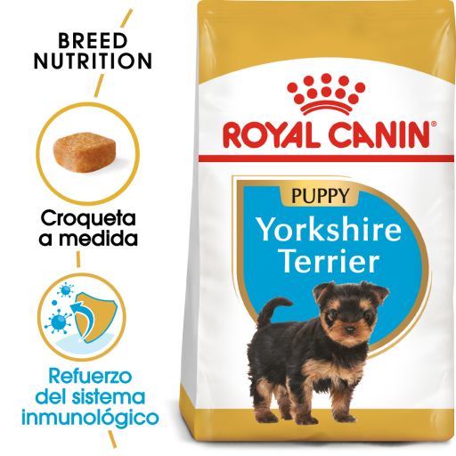 Yorkshire Terrier Puppy Pienso para Cachorro de Raza Yorkshire Terrier Puppy Pienso para Cachorro de Raza