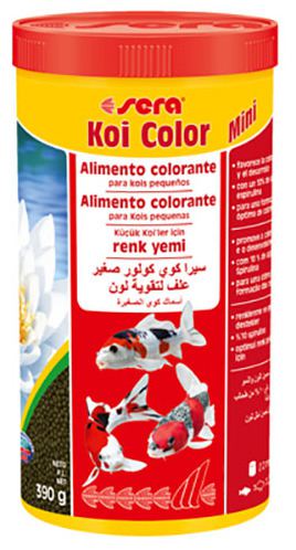 Koi Color Mini Koi Color Mini