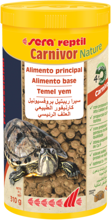 Reptil Professional Carnivor Nature Reptil Professional Carnivor Nature