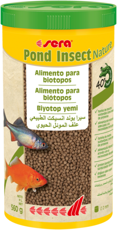 Pond Insect Nature Pond Insect Nature