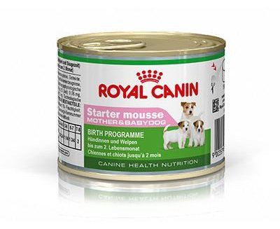 Starter Mousse Babydog Starter Mousse Babydog