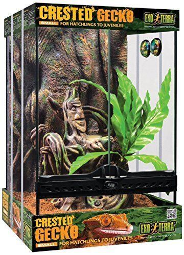 E.T Kit Terrario Cresta Gecko E.T Kit Terrario Cresta Gecko