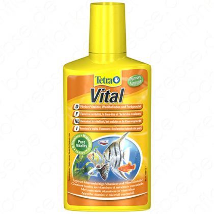 Vital Vital