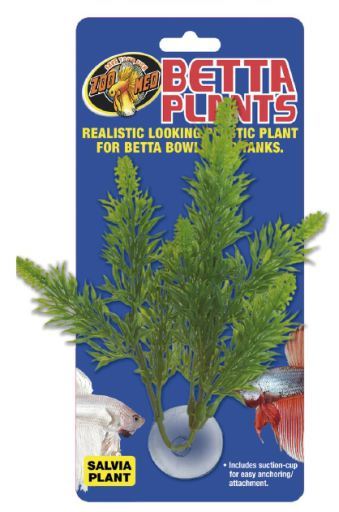 Betta Planta de Salvia Med Betta Planta de Salvia Med