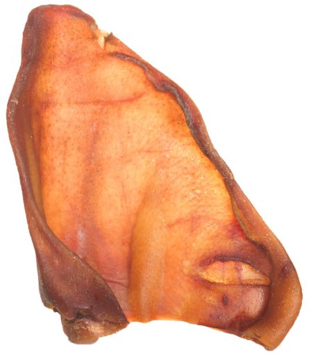 Oreja de Cerdo Oreja de Cerdo
